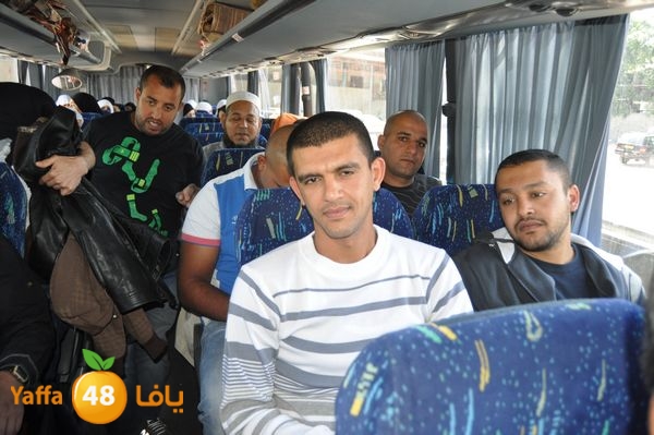 3omrashneer321 (32).JPG